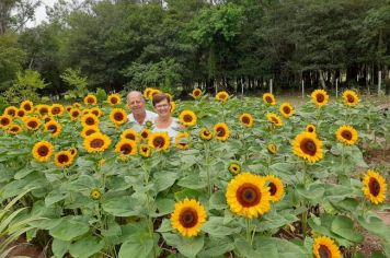 Foto - Sítio das flores