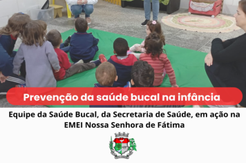 Prevenção da Saúde Bucal na Infância