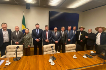 Prefeito de Novo Cabrais participa de mobilização em defesa da cadeia produtiva do tabaco em Brasília
