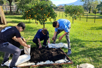 Estudantes da Agroecologia realizam plantio de mudas de morango 