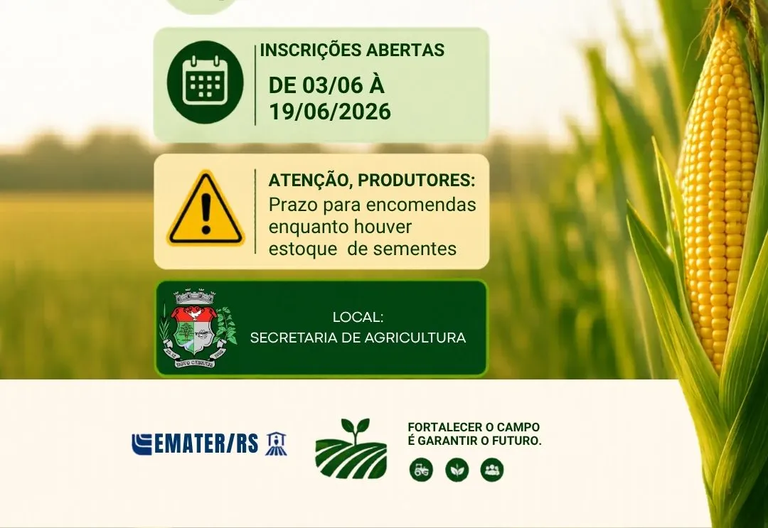 Encomendas de sementes de milho estão disponíveis na Agricultura